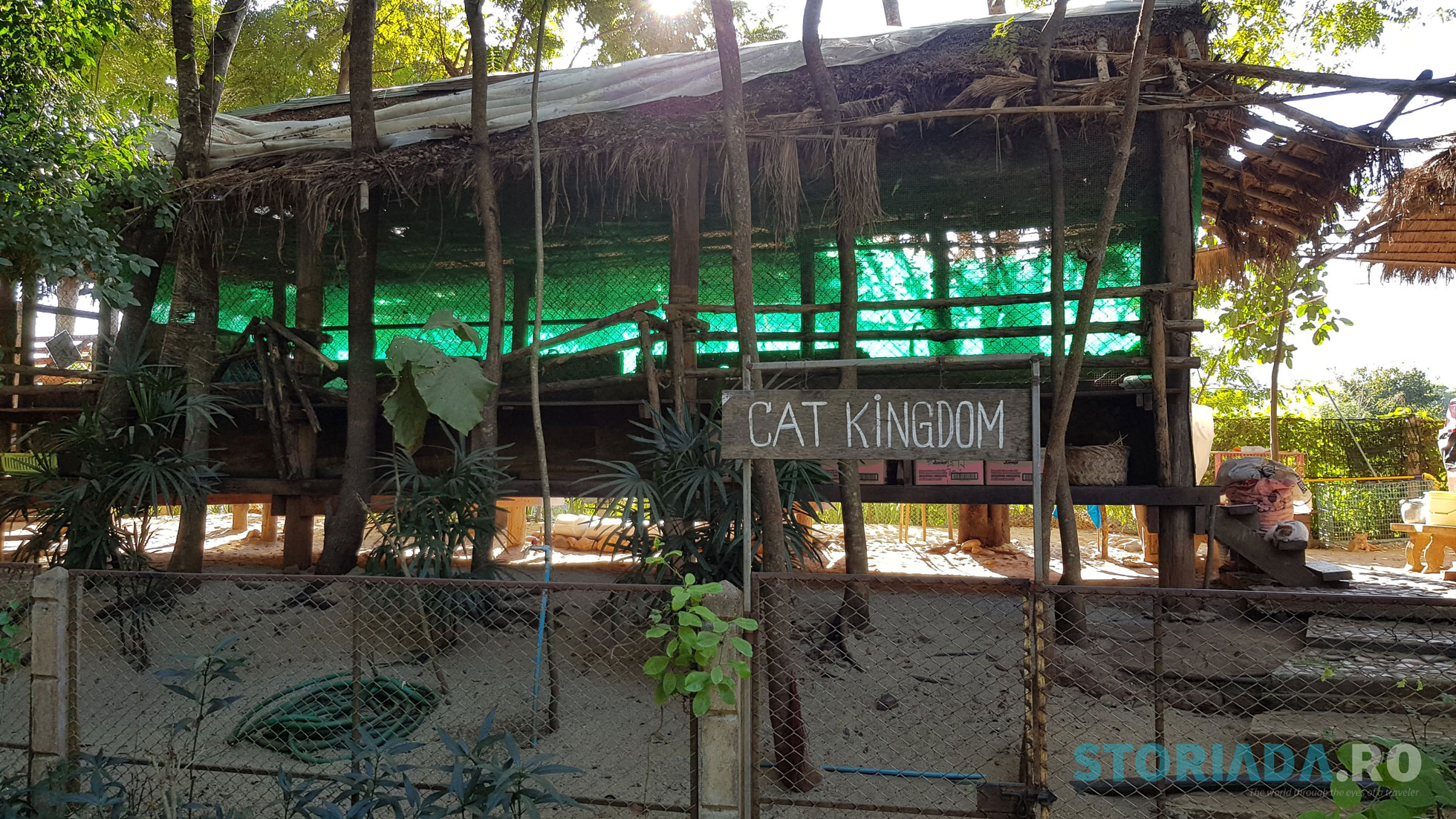 Cat Kingdom, Elephant Nature Park Sanctuary, Chiang Mai, Thailand
