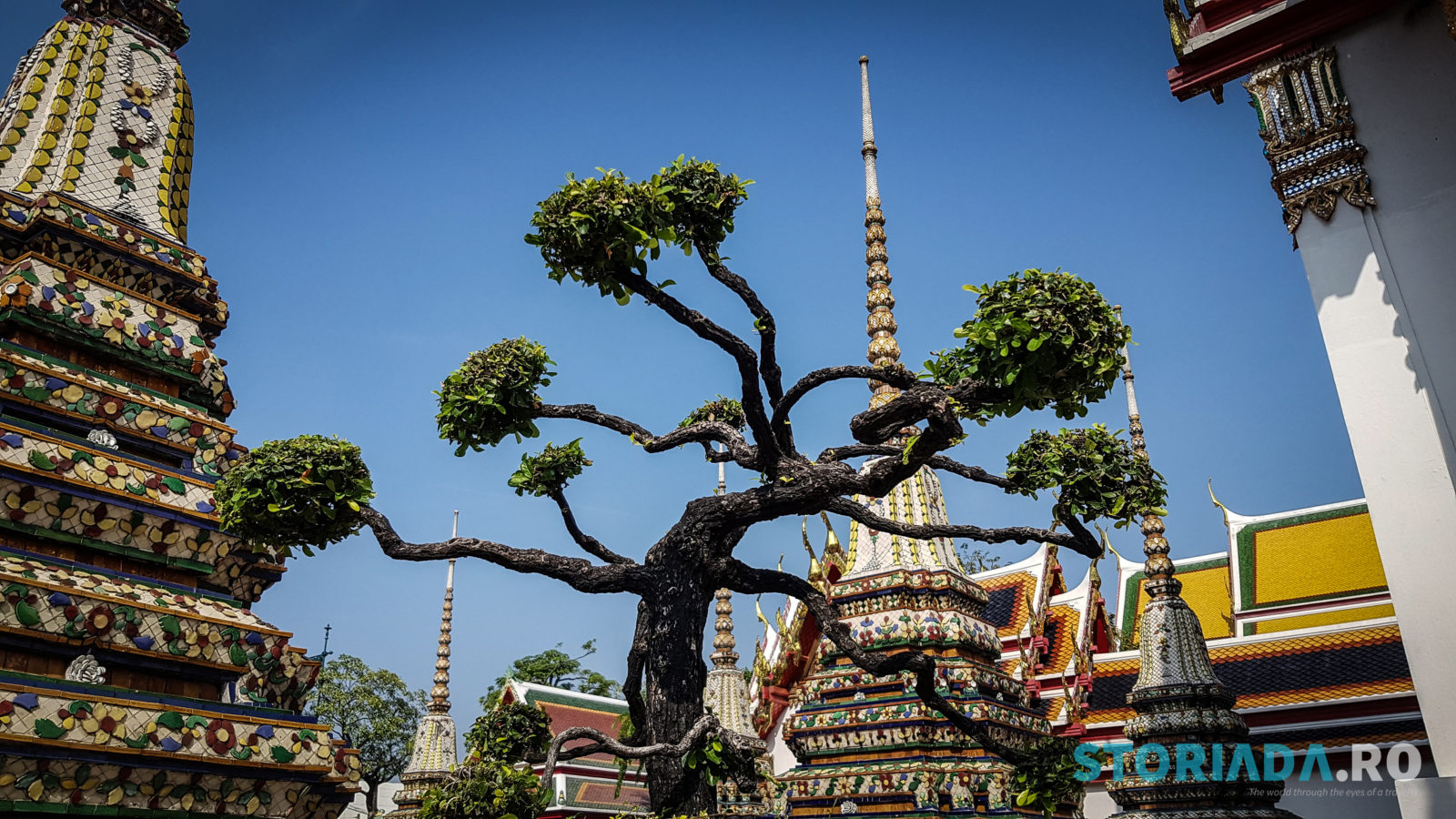 Temple Wat Pho Thailand