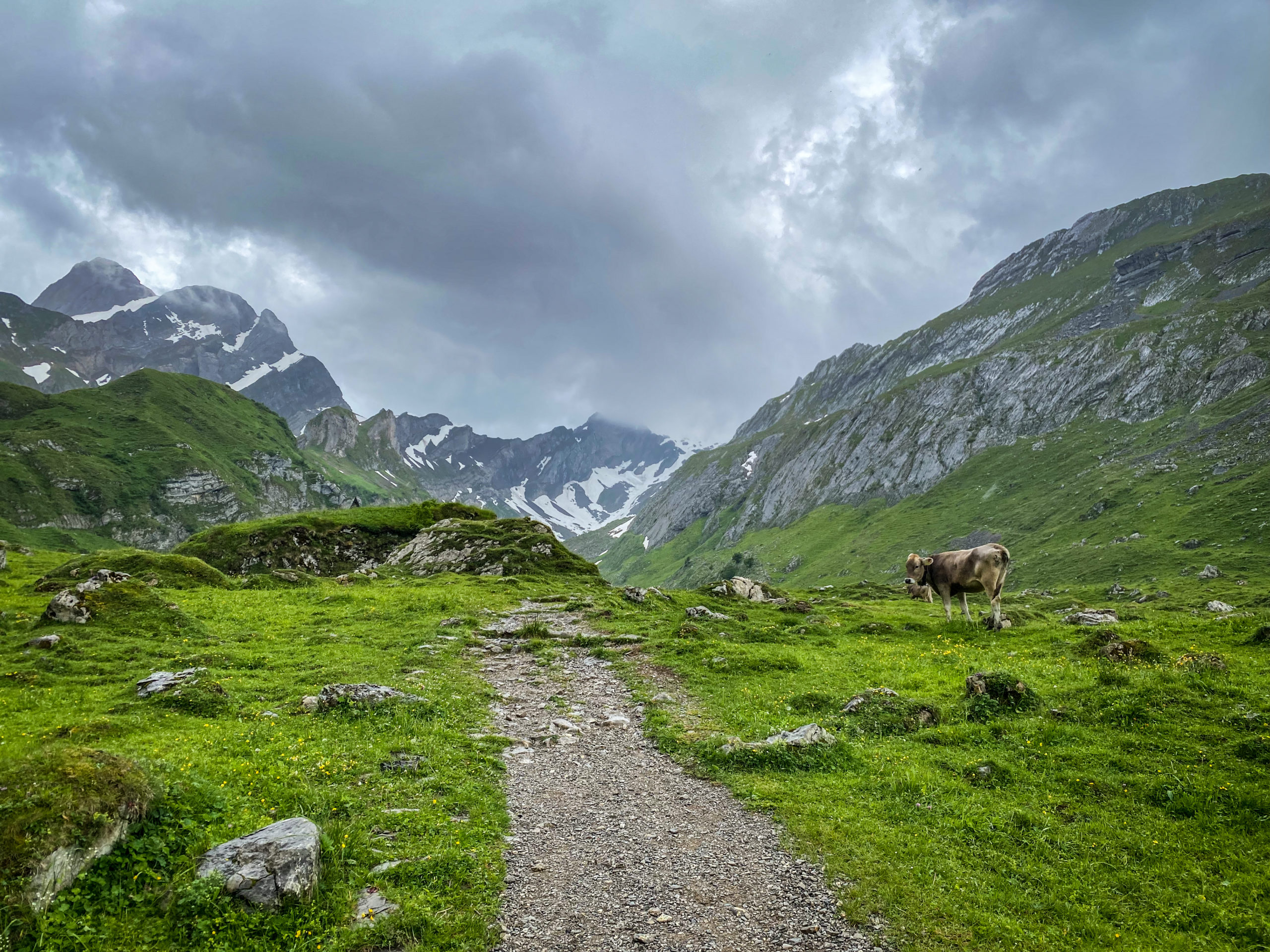 Appenzell, Elveția